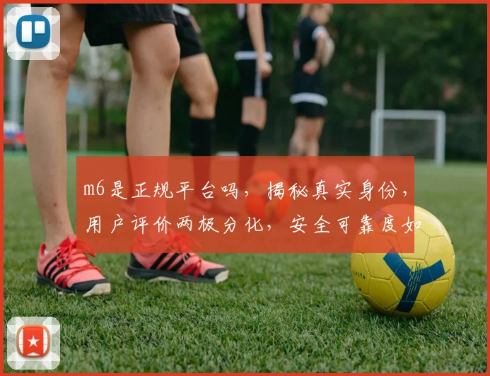 m6是正规平台吗，揭秘真实身份，用户评价两极分化，安全可靠度如何