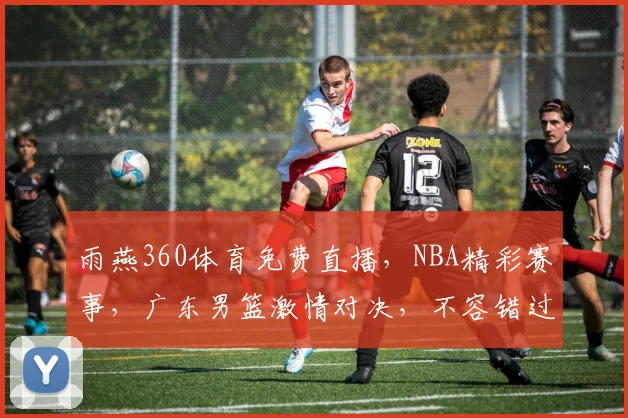 雨燕360体育免费直播，NBA精彩赛事，广东男篮激情对决，不容错过